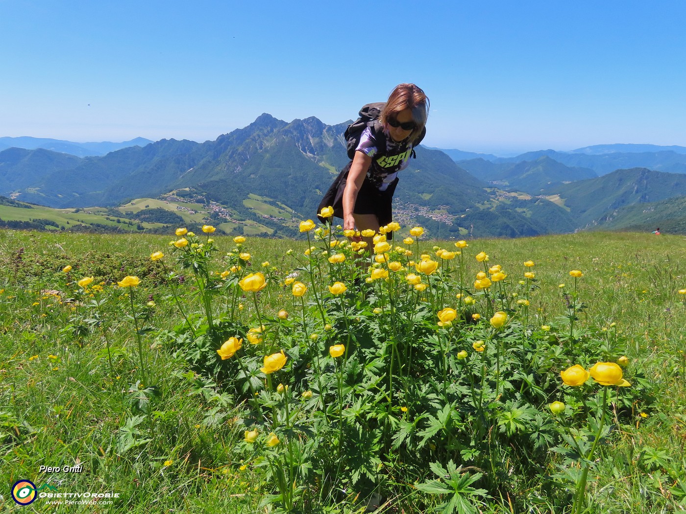 53 Trollius europaeus (Botton d'oro) con Alben.JPG